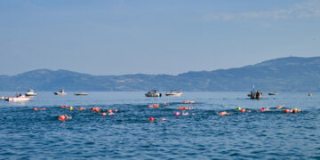 Les inscriptions pour Tout Vevey Nage sont ouvertes!