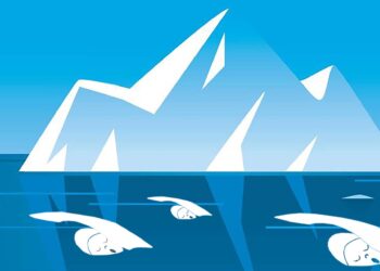 La COUPE POLAIRE a dû être annulée le 13 mars ?…Oui, mais nous pensons déjà à une alternative